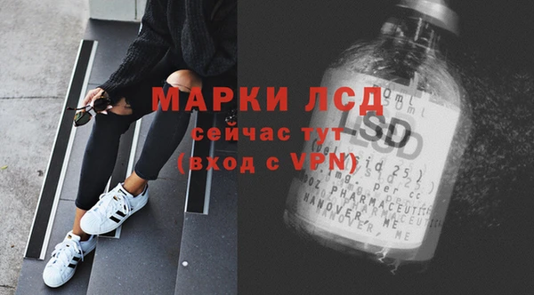 мдпв Гусев