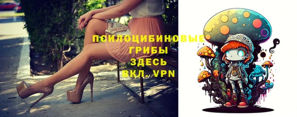 марки nbome Белокуриха