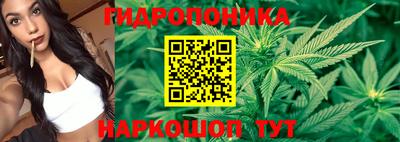 гашик Сосновый Бор