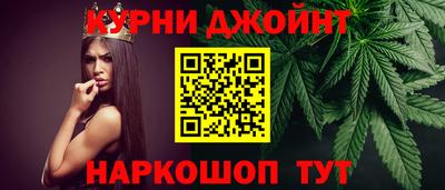 гашик Сосновый Бор