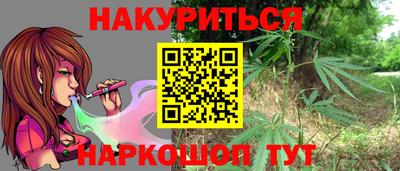 гашик Сосновый Бор