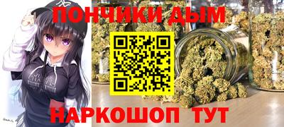 гашик Сосновый Бор