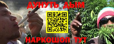 гашик Сосновый Бор