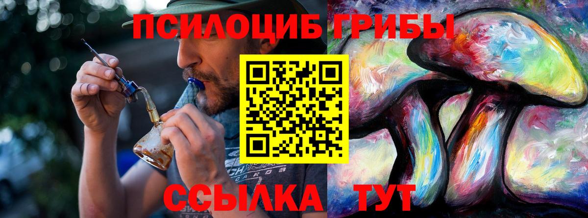 Галлюциногенные грибы Psilocybe Бузулук